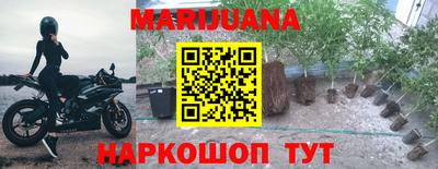гидра Камень-на-Оби