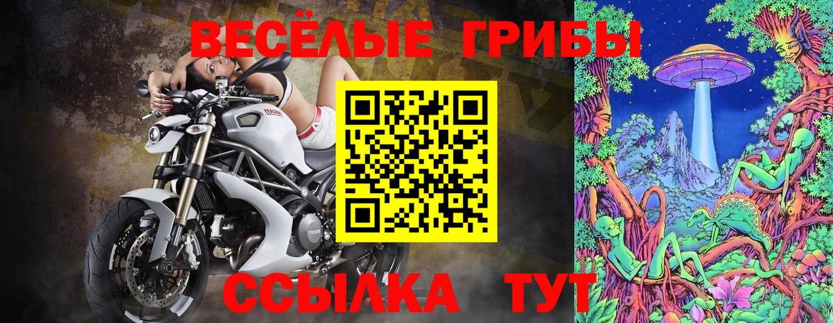 Псилоцибиновые грибы ЛСД  Вход с VPN  Новочебоксарск 